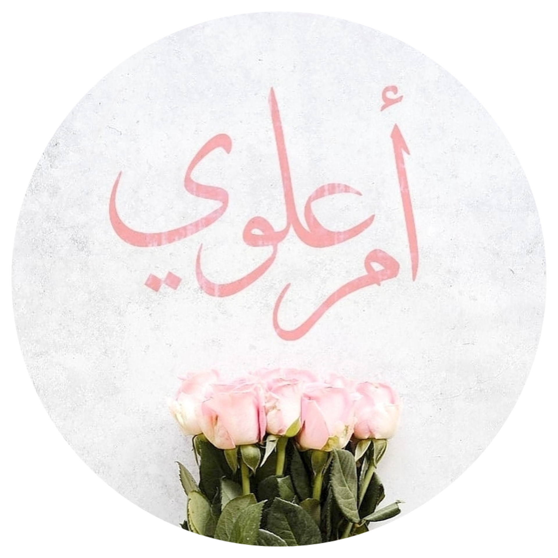 The Islamic Gift Store by Umm 'Alwy